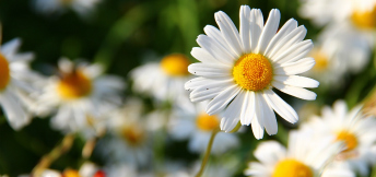 Offerta 25 Aprile a Riccione